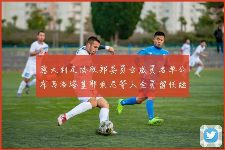 意大利足协联邦委员会成员名单公布马洛塔基耶利尼等人全员留任继续服务