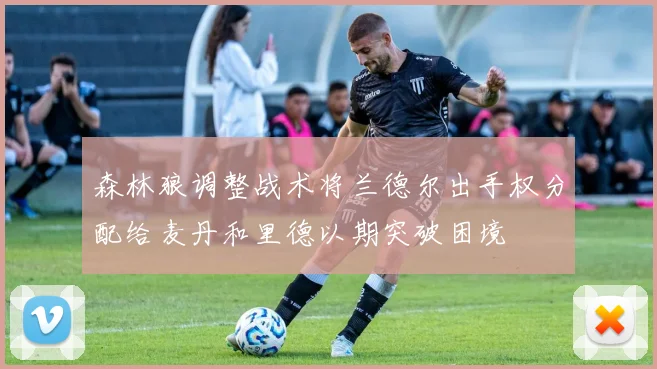 森林狼调整战术将兰德尔出手权分配给麦丹和里德以期突破困境
